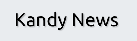 How To Choose Eco-friendly Kitchen Appliances For