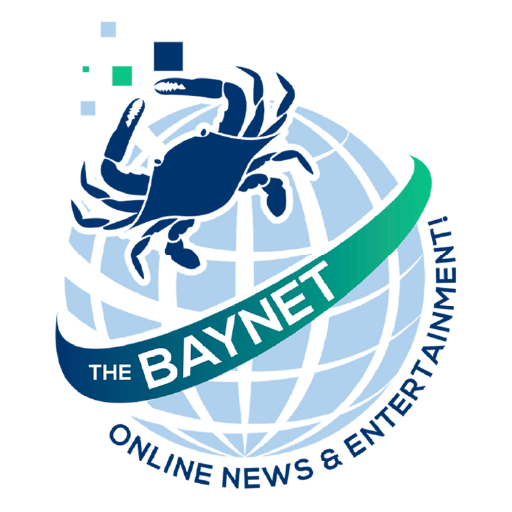 The Baynet